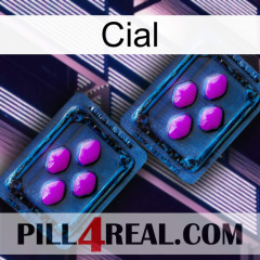 Cial 03